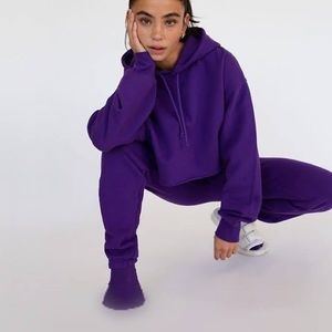 Aritzia TNA cozy fleece boyfriend hoodie